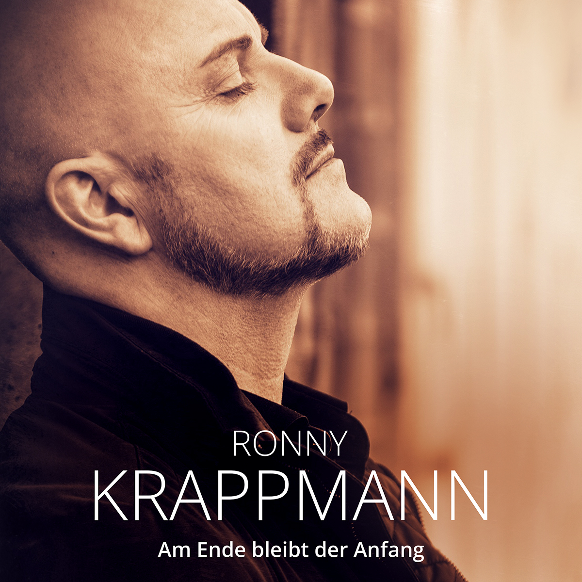 Ronny Krappmann - Am Ende bleibt der Anfang